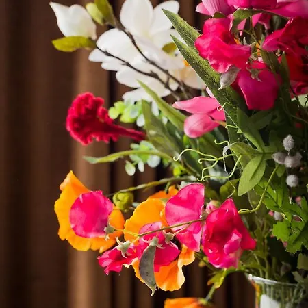 Prominent 4* Noordwijk