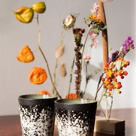 プロミネント 4* ノールトウェイク